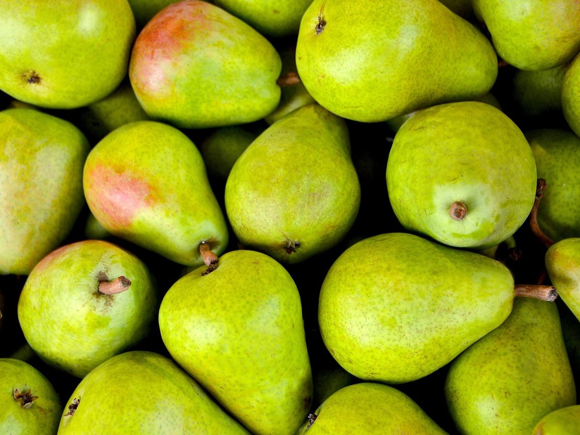 Обои фрукты, зеленые, плоды, груши, fruit, green, pear разрешение 6000x3989 Загрузить