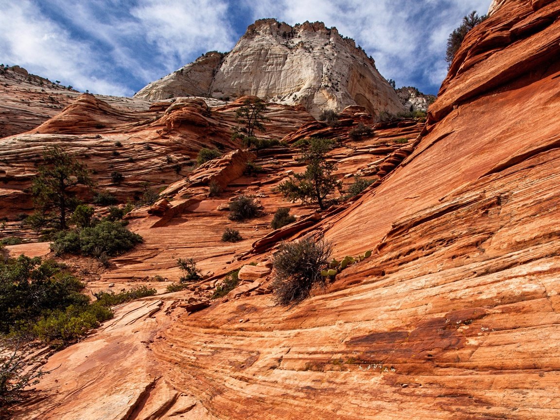 Обои облака, горы, скалы, природа, сша, юта, zion national park, национальный парк, зайон, zion, clouds, mountains, rocks, nature, usa, utah, national park разрешение 2880x1593 Загрузить