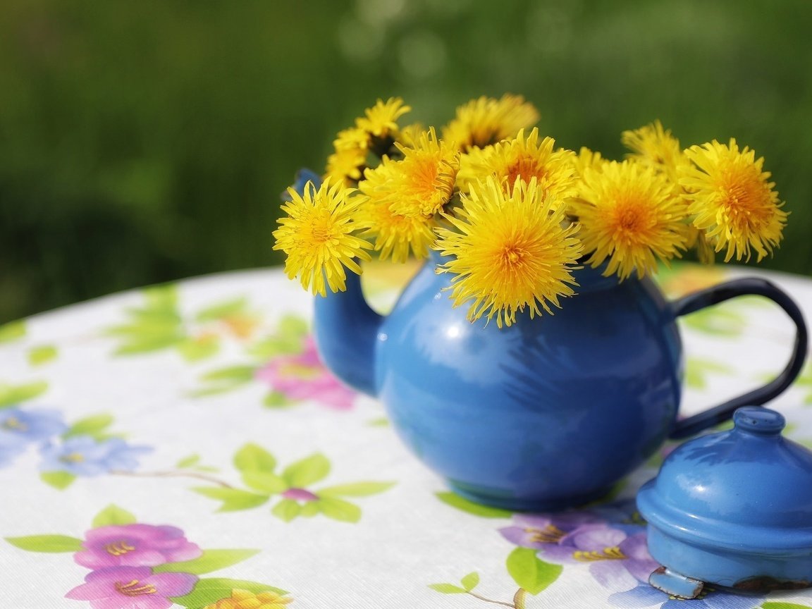 Обои цветы, стол, одуванчики, чайник, скатерть, flowers, table, dandelions, kettle, tablecloth разрешение 2048x1365 Загрузить