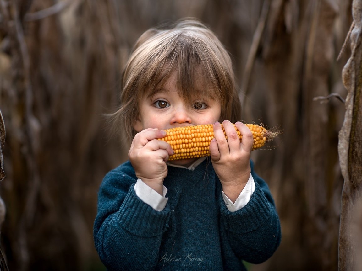 Обои дети, волосы, кукуруза, лицо, ребенок, мальчик, малыш, adrian c. murray, children, hair, corn, face, child, boy, baby разрешение 2048x1366 Загрузить