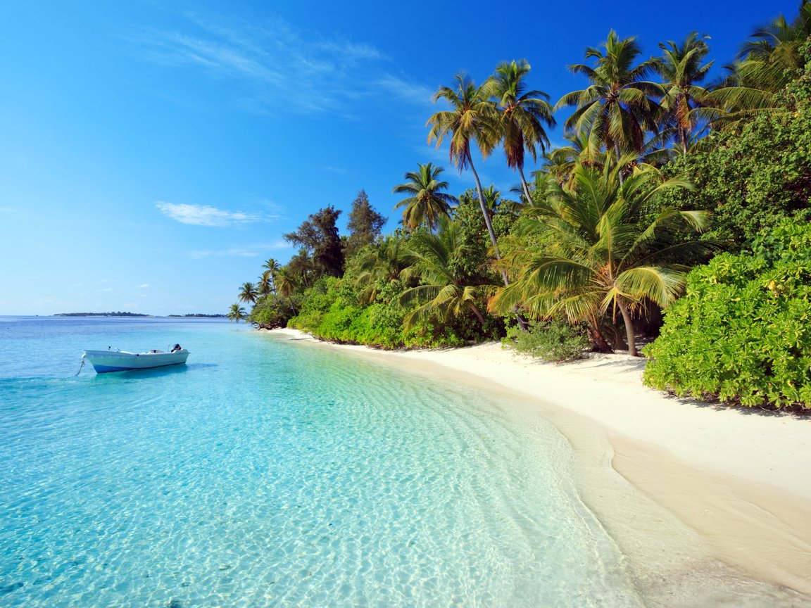 Обои море, пляж, лодка, пальмы, отдых, остров, тропики, мальдивы, sea, beach, boat, palm trees, stay, island, tropics, the maldives разрешение 5448x3632 Загрузить