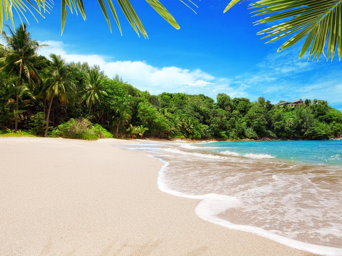 Обои море, пляж, пальмы, отдых, тропики, sea, beach, palm trees, stay, tropics разрешение 2508x1672 Загрузить