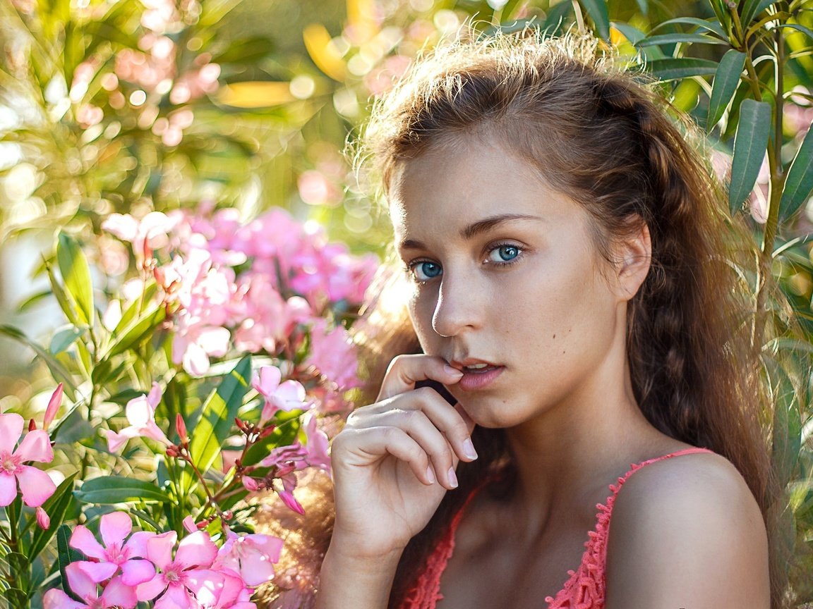 Обои цветы, девушка, взгляд, волосы, лицо, голубоглазая, flowers, girl, look, hair, face, blue-eyed разрешение 2048x1476 Загрузить