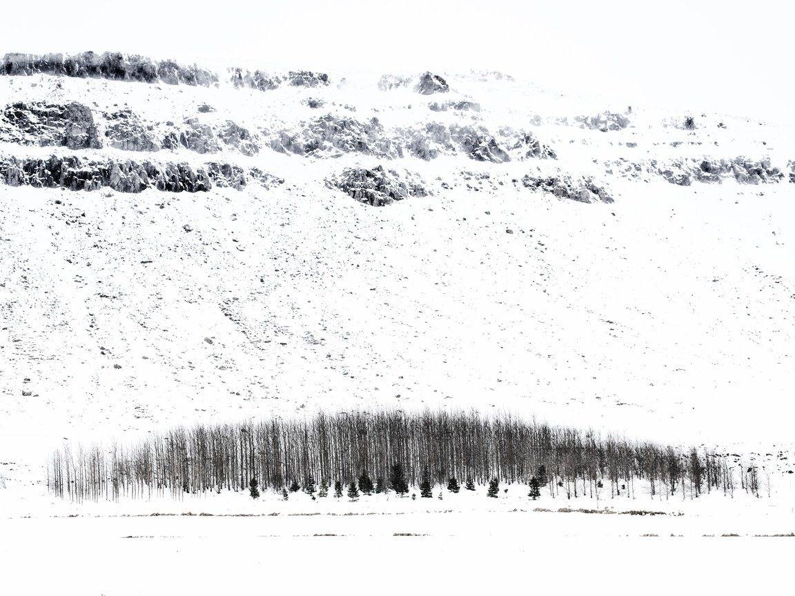 Обои деревья, снег, зима, исландия, trees, snow, winter, iceland разрешение 5247x3498 Загрузить