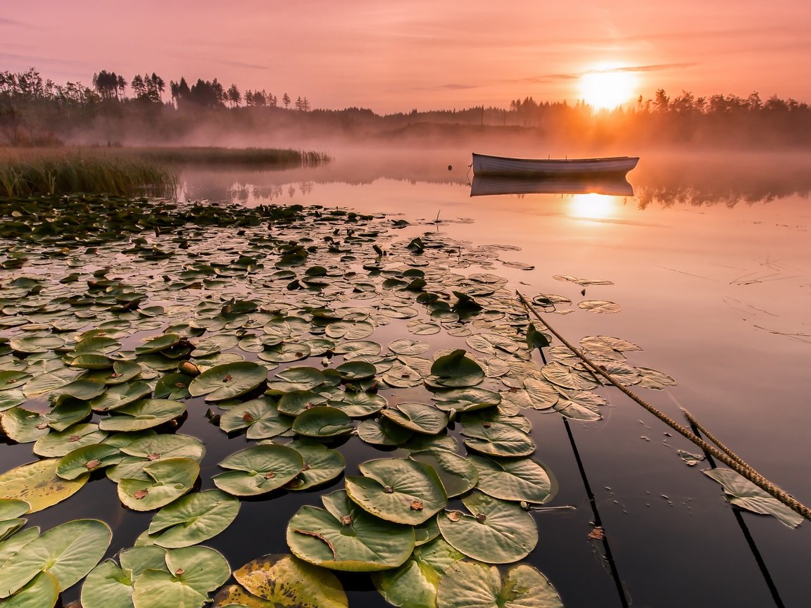 Обои озеро, солнце, утро, туман, горизонт, лодка, lake, the sun, morning, fog, horizon, boat разрешение 5184x2916 Загрузить