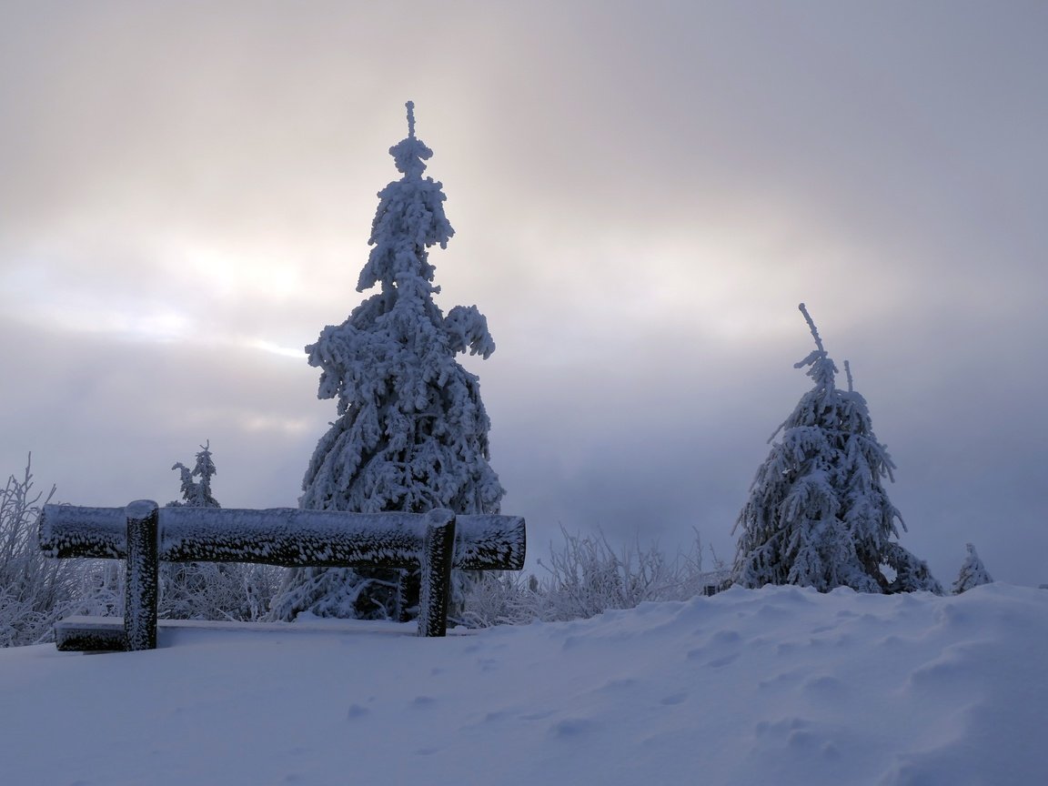 Обои снег, дерево, зима, утро, скамья, snow, tree, winter, morning, bench разрешение 3888x2592 Загрузить