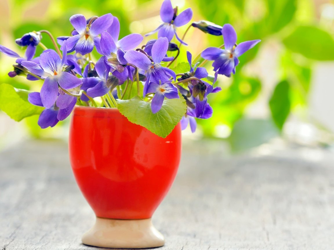 Обои цветы, ваза, фиолетовые, фиалки, flowers, vase, purple, violet разрешение 1920x1200 Загрузить