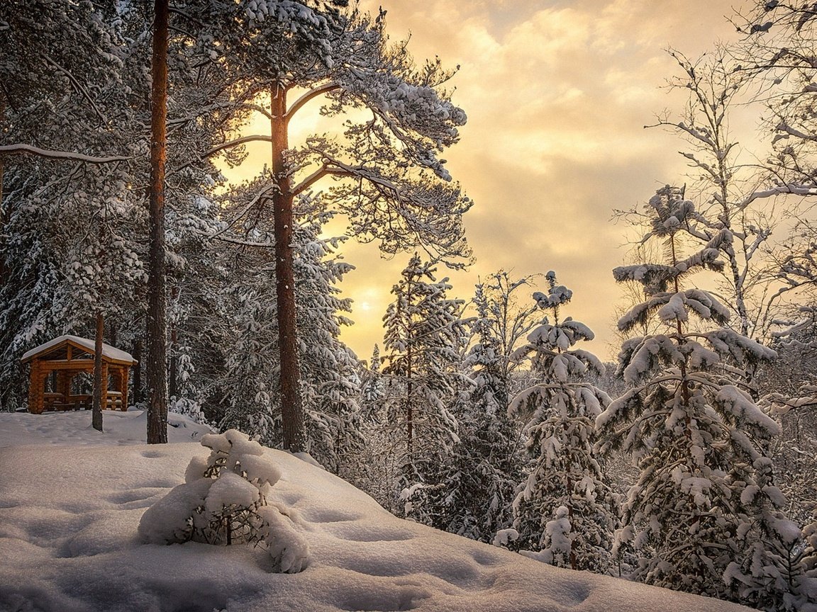 Обои небо, облака, деревья, снег, лес, зима, беседка, сугробы, the sky, clouds, trees, snow, forest, winter, gazebo, the snow разрешение 1920x1280 Загрузить