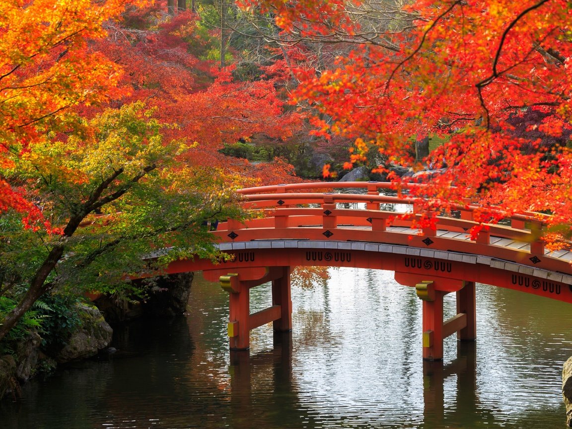 Обои деревья, ветки, мост, осень, япония, сад, киото, пруд, trees, branches, bridge, autumn, japan, garden, kyoto, pond разрешение 2880x1920 Загрузить