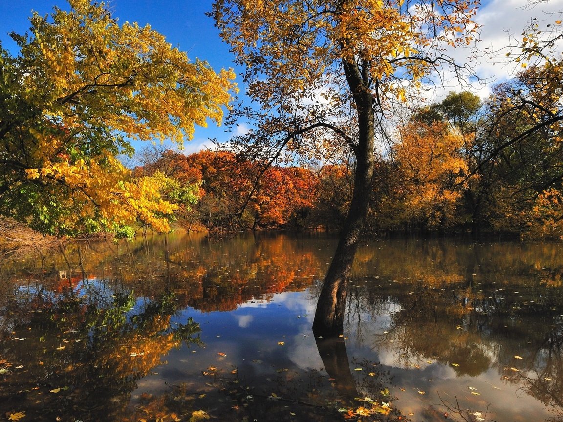 Обои вода, природа, осень, красиво, water, nature, autumn, beautiful разрешение 2560x1600 Загрузить