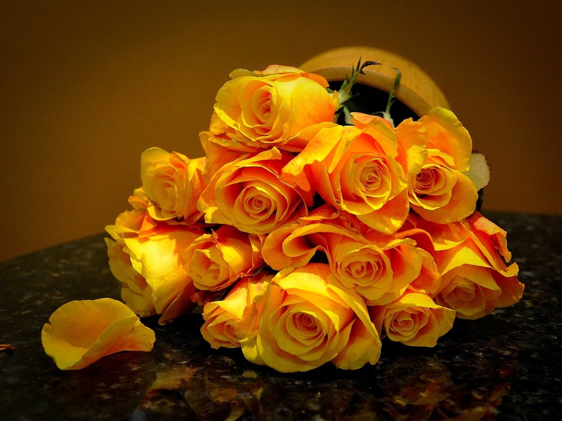 Обои цветы, розы, лепестки, букет, жёлтые розы, flowers, roses, petals, bouquet, yellow roses разрешение 2835x1853 Загрузить