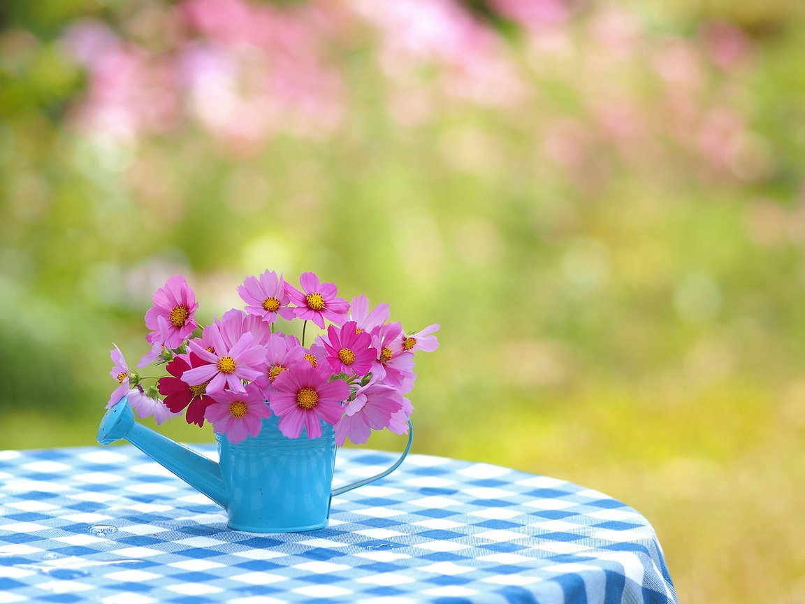 Обои настроение, букетик, скатерть, боке, лейка, космея, быт, mood, a bunch, tablecloth, bokeh, lake, kosmeya, life разрешение 1920x1200 Загрузить