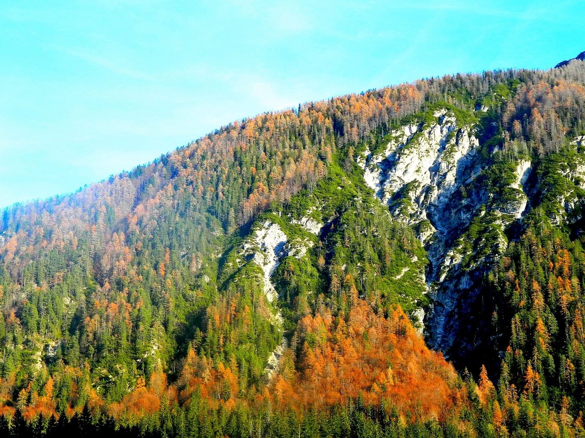 Обои деревья, горы, лес, осень, trees, mountains, forest, autumn разрешение 4224x2376 Загрузить