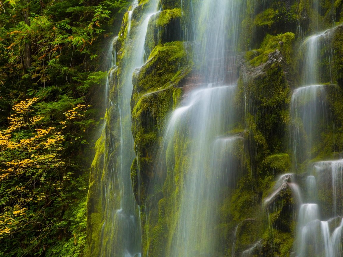 Обои природа, водопад, сша, мох, орегон, nature, waterfall, usa, moss, oregon разрешение 4652x2957 Загрузить