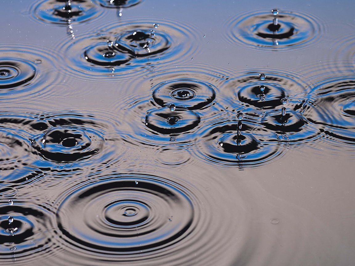 Обои вода, капли, брызги, круги, water, drops, squirt, circles разрешение 2560x1600 Загрузить