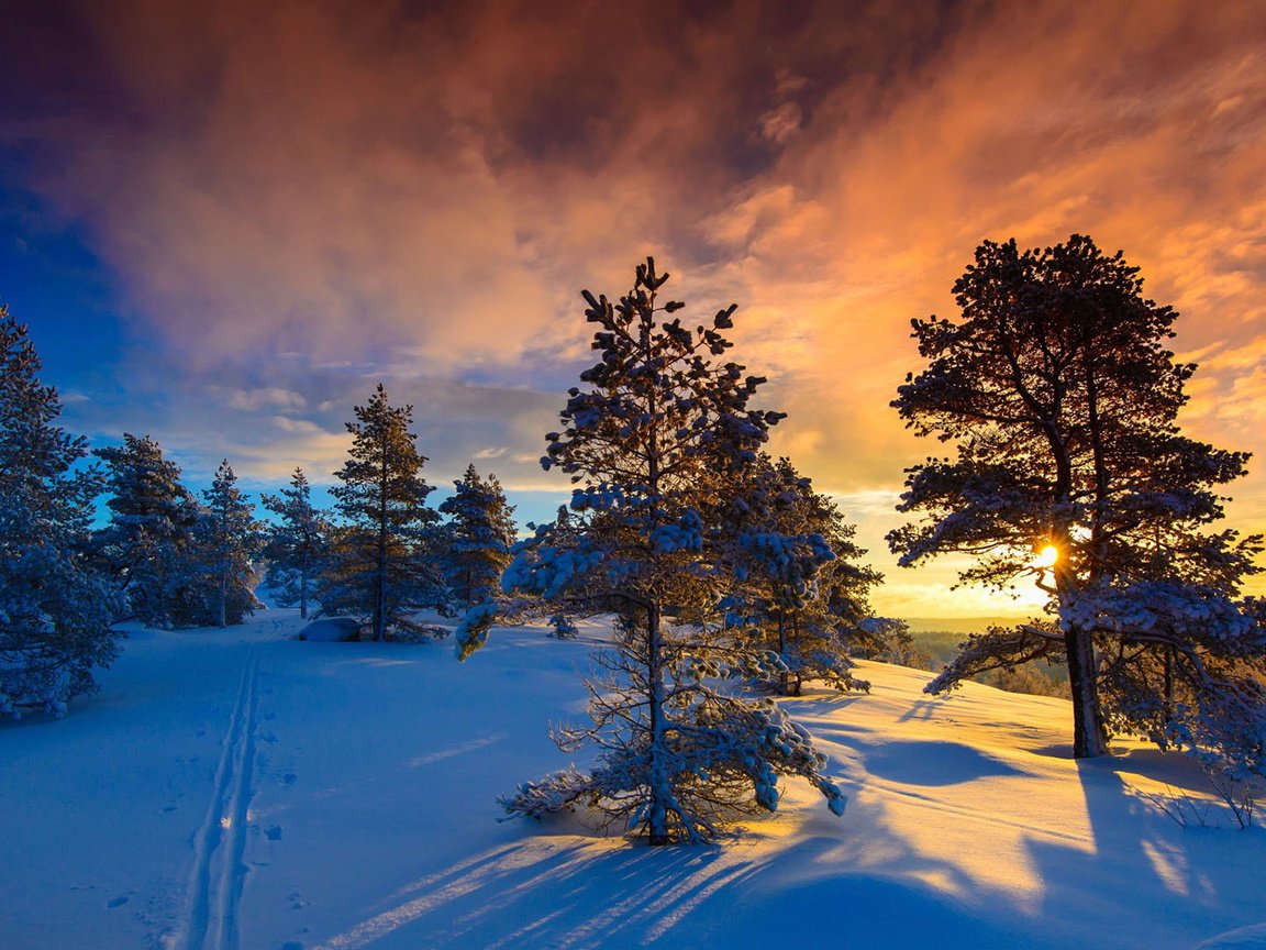 Обои небо, норвегия, облака, деревья, солнце, природа, лес, закат, зима, the sky, norway, clouds, trees, the sun, nature, forest, sunset, winter разрешение 1920x1080 Загрузить