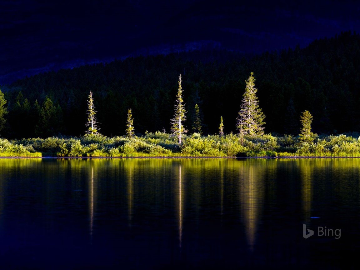 Обои деревья, озеро, горы, природа, лес, отражение, bing, trees, lake, mountains, nature, forest, reflection разрешение 1920x1200 Загрузить