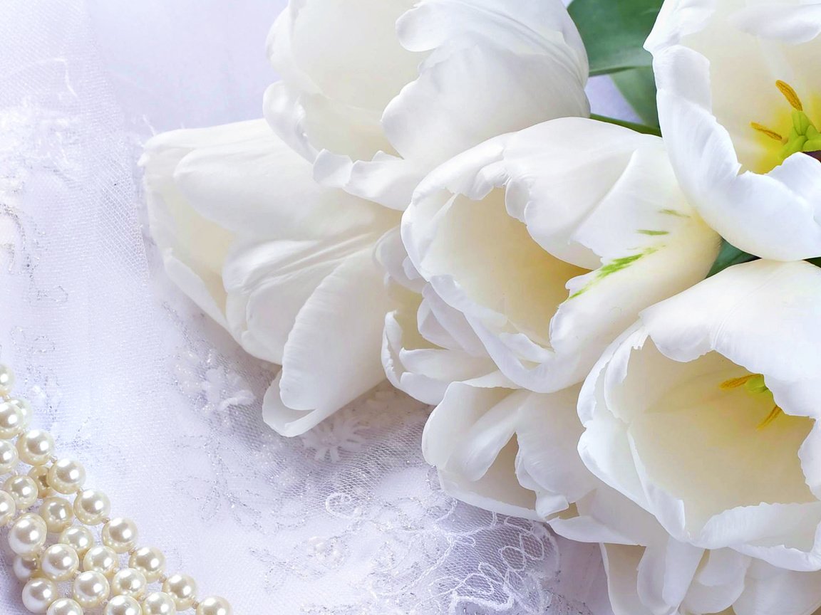 Обои цветы, букет, тюльпаны, белые, ожерелье, жемчуг, flowers, bouquet, tulips, white, necklace, pearl разрешение 3840x2160 Загрузить