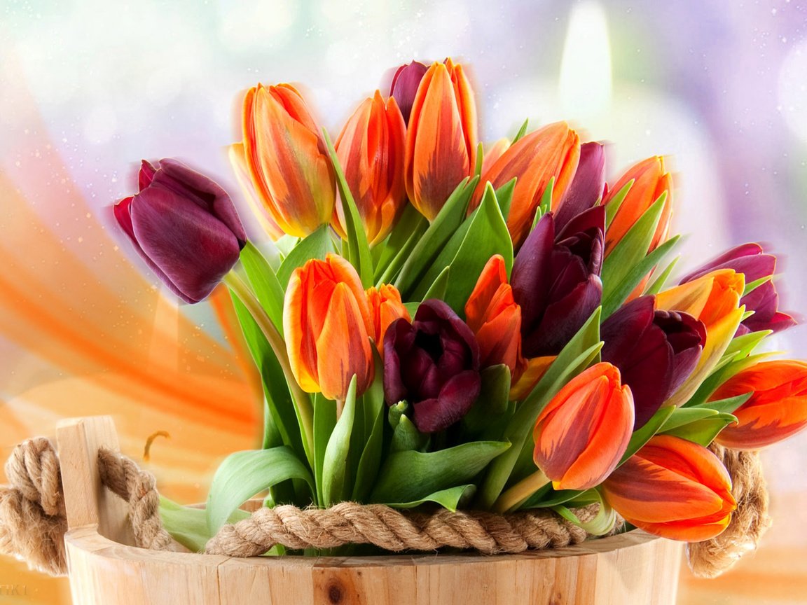 Обои цветы, бутоны, весна, букет, тюльпаны, боке, ведро, flowers, buds, spring, bouquet, tulips, bokeh, bucket разрешение 3543x2362 Загрузить