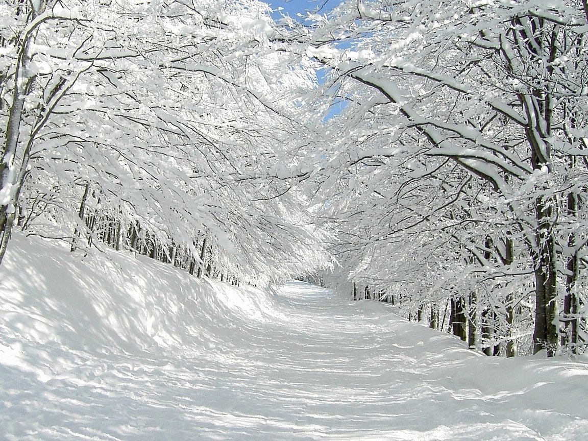 Обои дорога, деревья, снег, природа, зима, ветки, road, trees, snow, nature, winter, branches разрешение 1920x1080 Загрузить