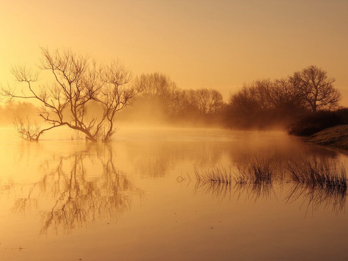 Обои река, природа, пейзаж, утро, туман, рассвет, river, nature, landscape, morning, fog, dawn разрешение 1920x1200 Загрузить