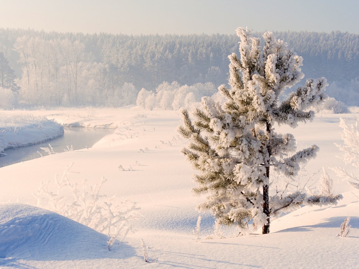 Обои река, снег, природа, зима, россия, сосна, урал, river, snow, nature, winter, russia, pine, ural разрешение 2560x1600 Загрузить