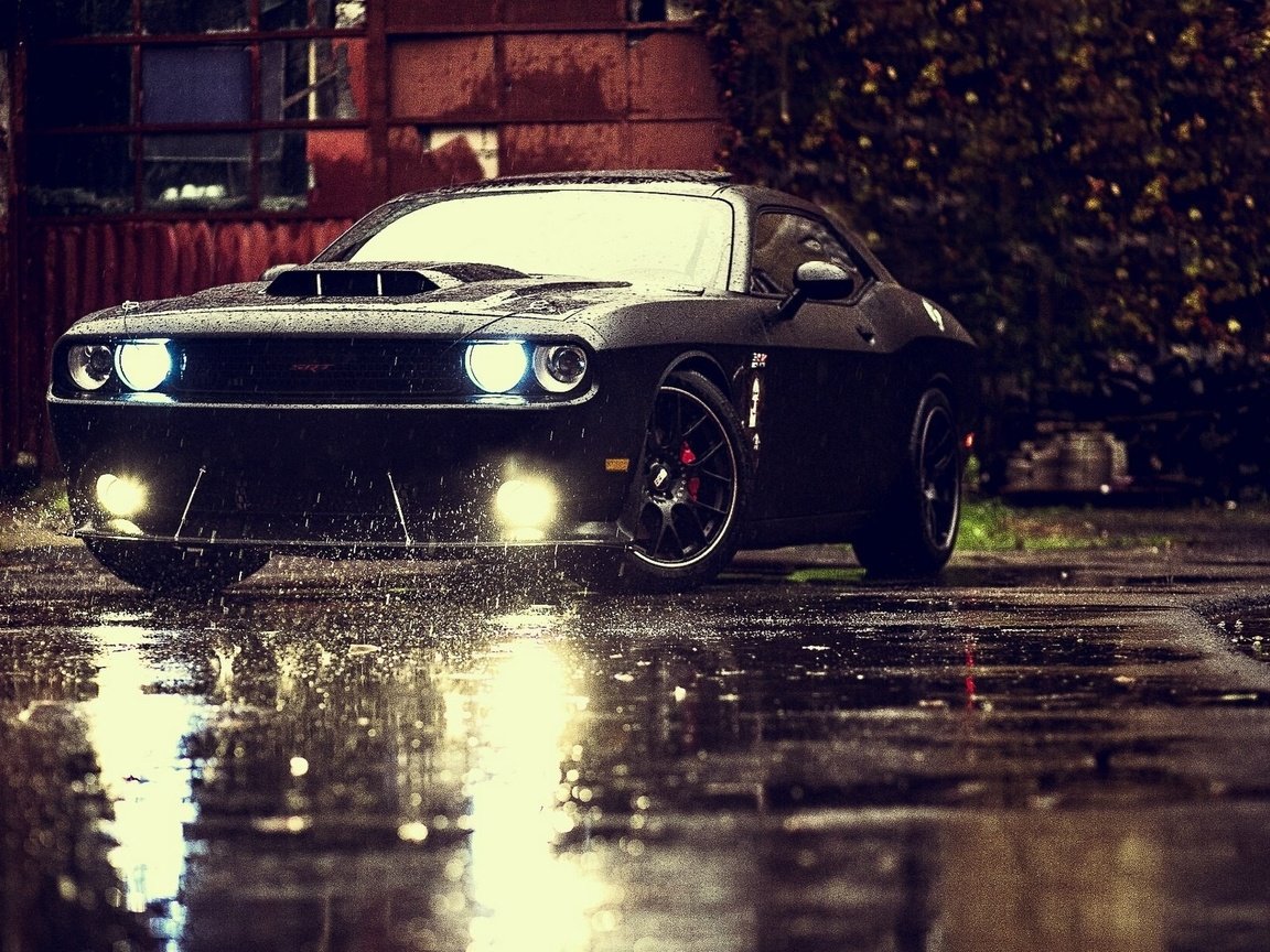 Обои ночь, dodge challenger, средство передвижения, машина, колеса, дождь, темнота, лужа, автомобиль, спортивная машина, night, vehicle, machine, wheel, rain, darkness, puddle, car, sports car разрешение 1920x1200 Загрузить