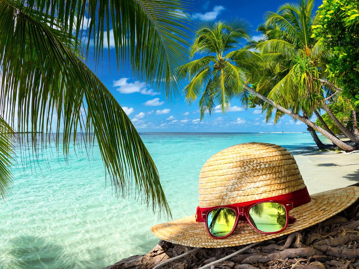 Обои лето, очки, пальмы, океан, тропики, шляпа, отпуск, summer, glasses, palm trees, the ocean, tropics, hat, vacation разрешение 6000x4000 Загрузить