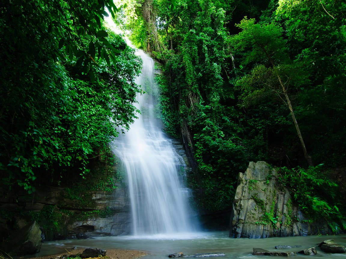 Обои река, природа, зелень, растения, водопад, джунгли, river, nature, greens, plants, waterfall, jungle разрешение 2880x1800 Загрузить