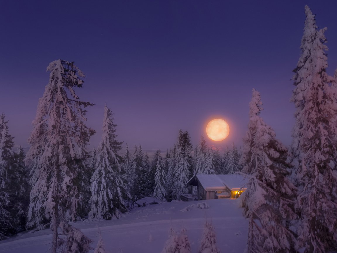 Обои небо, свет, деревья, снег, лес, зима, луна, дом, the sky, light, trees, snow, forest, winter, the moon, house разрешение 1920x1200 Загрузить