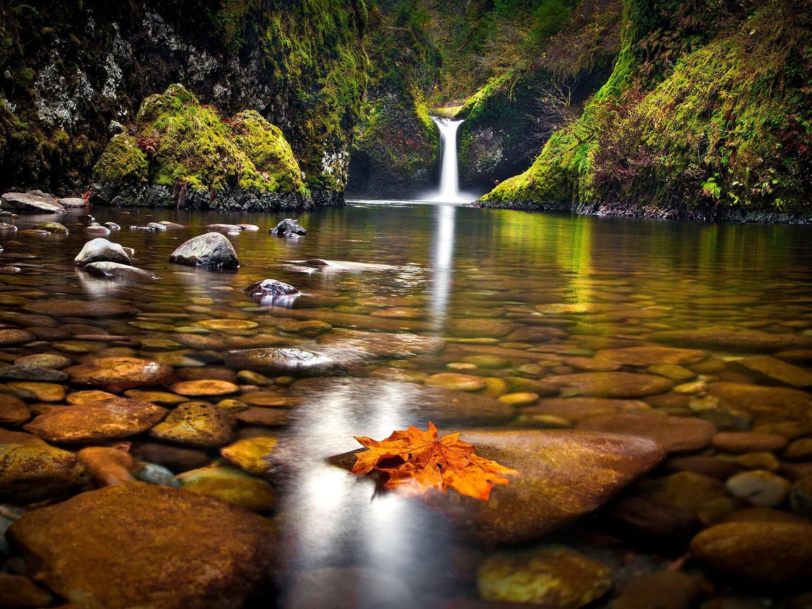 Обои озеро, природа, камни, лес, водопад, осень, дно, lake, nature, stones, forest, waterfall, autumn, the bottom разрешение 1920x1200 Загрузить