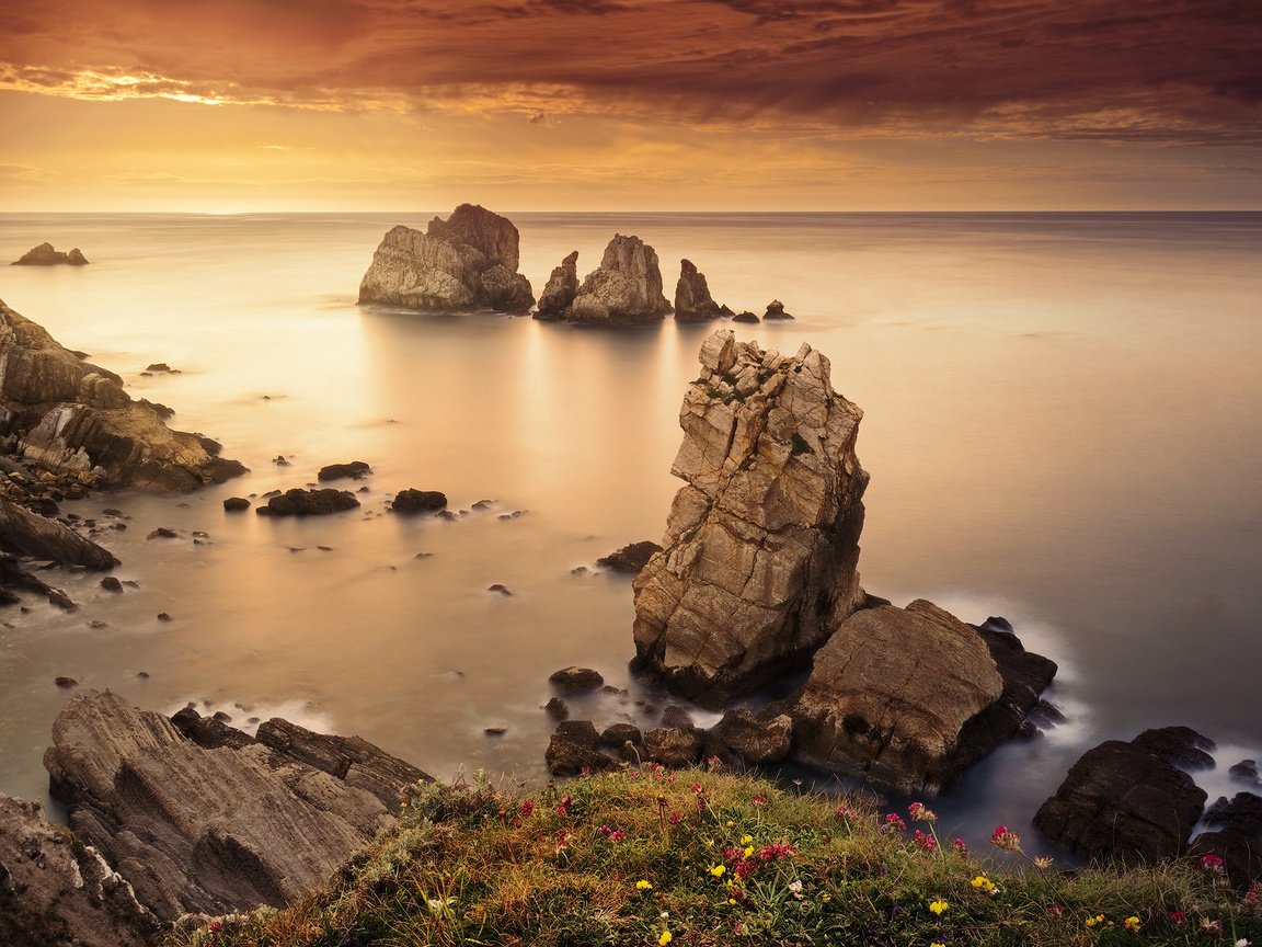Обои цветы, скалы, камни, берег, море, горизонт, flowers, rocks, stones, shore, sea, horizon разрешение 2560x1600 Загрузить