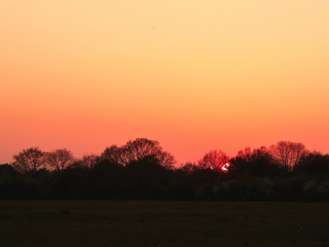 Обои небо, деревья, закат, закат солнца, the sky, trees, sunset разрешение 5136x2696 Загрузить