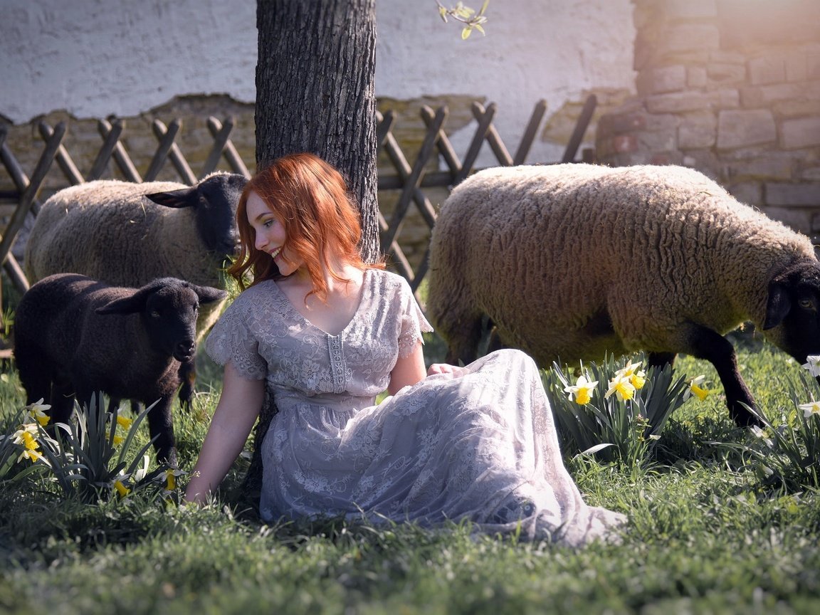 Обои девушка, настроение, улыбка, рыжая, овцы, овечки, girl, mood, smile, red, sheep разрешение 2048x1128 Загрузить