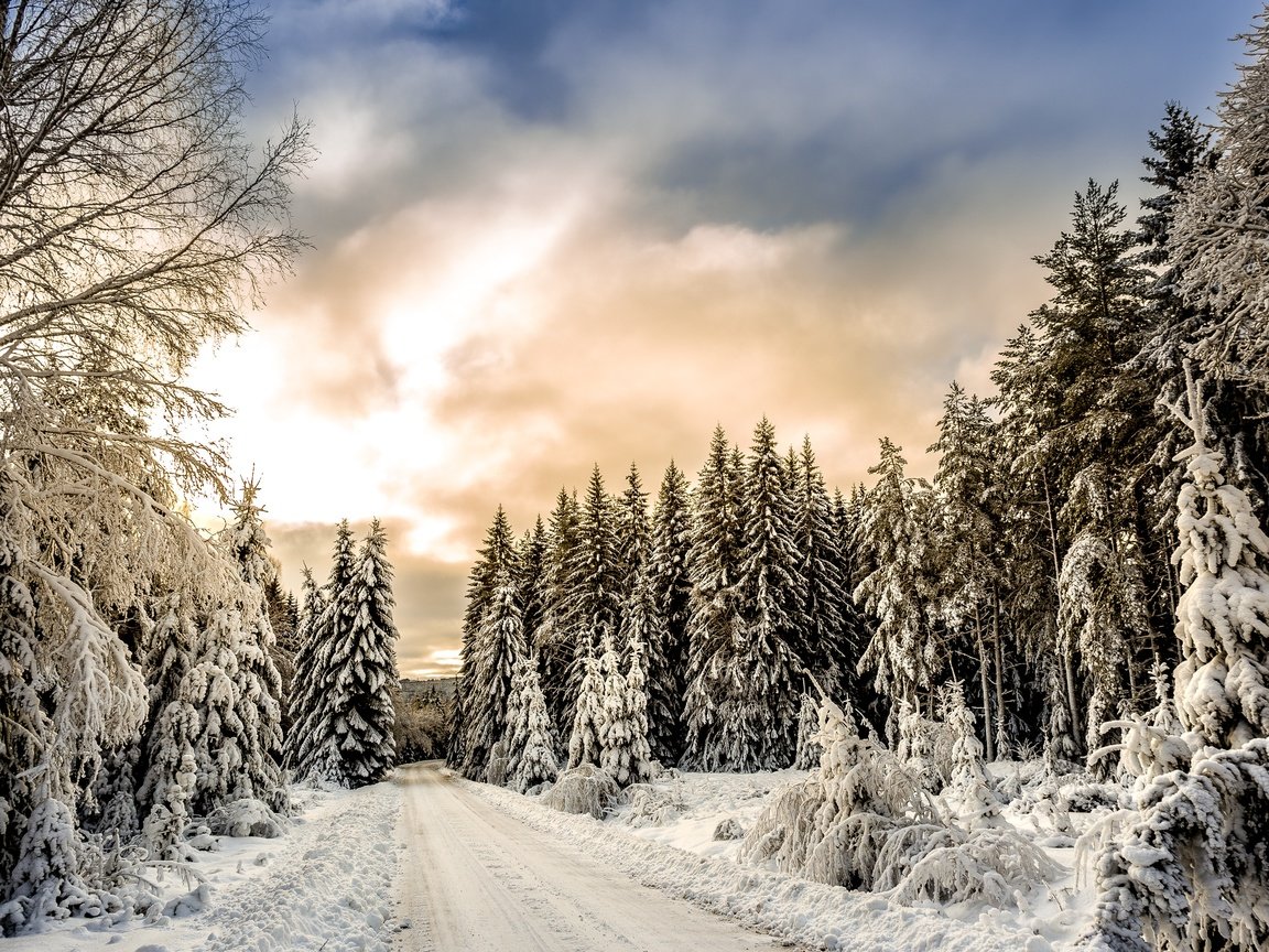 Обои облака, деревья, снег, лес, зима, clouds, trees, snow, forest, winter разрешение 3000x2250 Загрузить