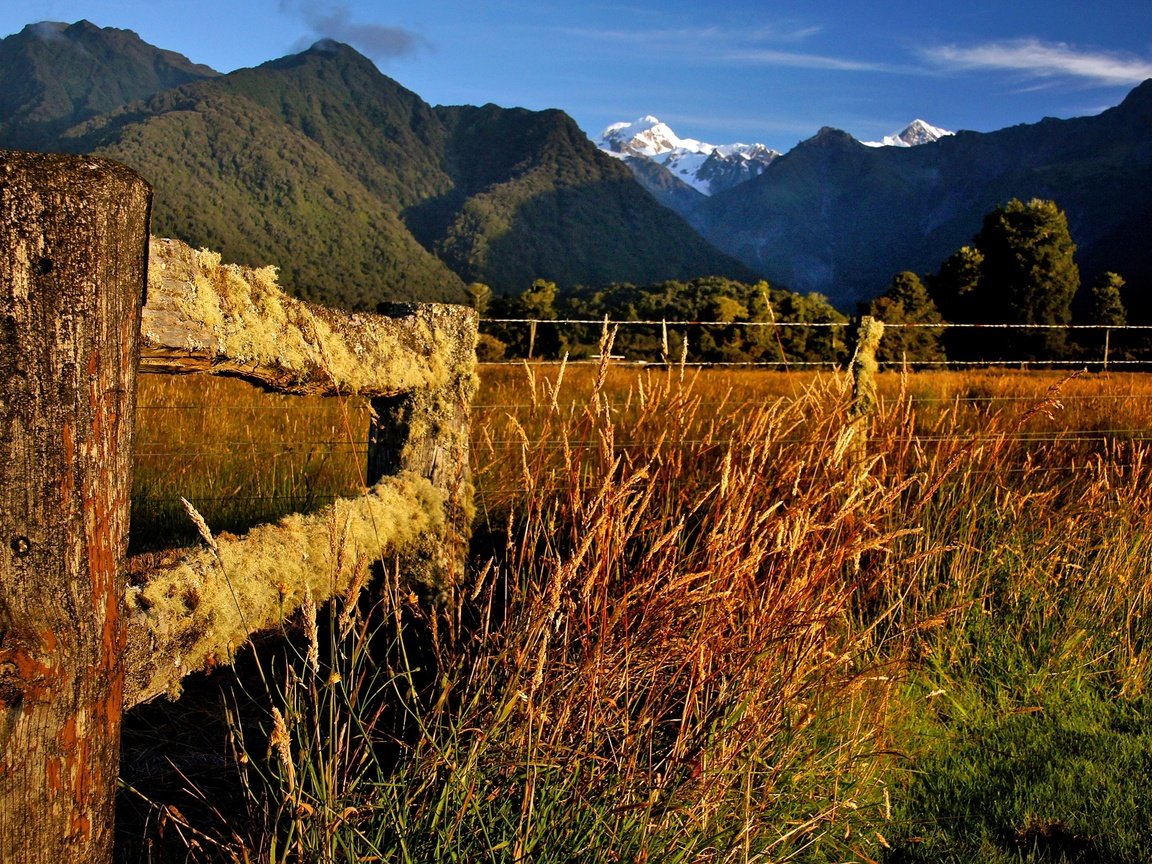 Обои трава, горы, природа, пейзаж, забор, мох, новая зеландия, grass, mountains, nature, landscape, the fence, moss, new zealand разрешение 2400x1451 Загрузить