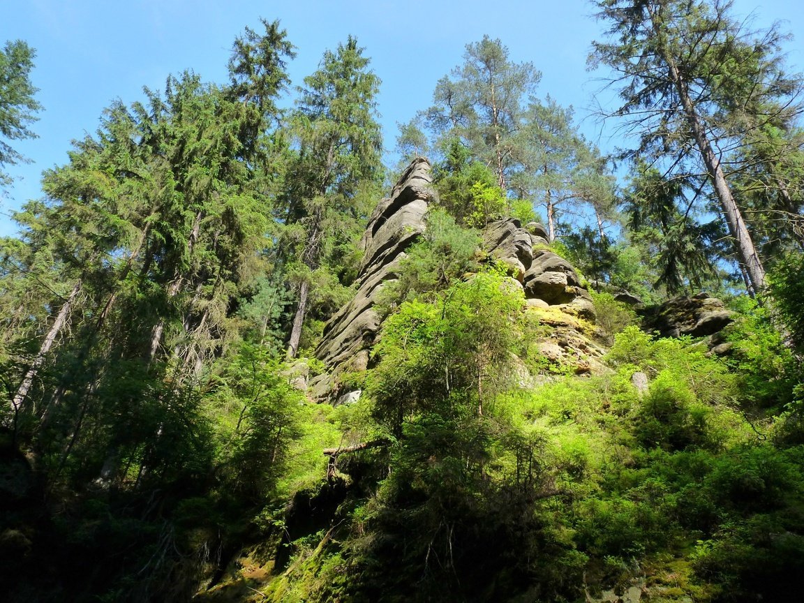 Обои небо, свет, деревья, природа, скала, швейцария, тень, the sky, light, trees, nature, rock, switzerland, shadow разрешение 3648x2736 Загрузить