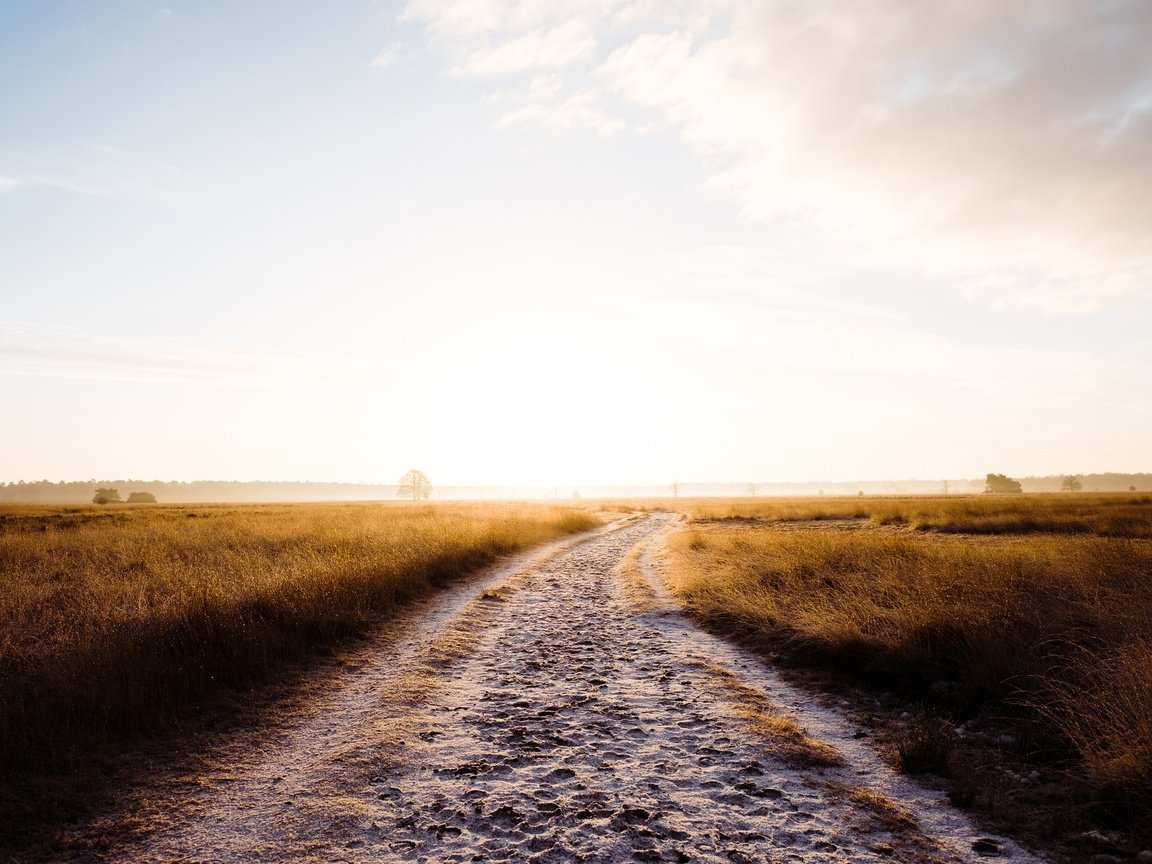 Обои небо, дорога, трава, облака, утро, туман, поле, robert-paul jansen, the sky, road, grass, clouds, morning, fog, field разрешение 2048x1365 Загрузить