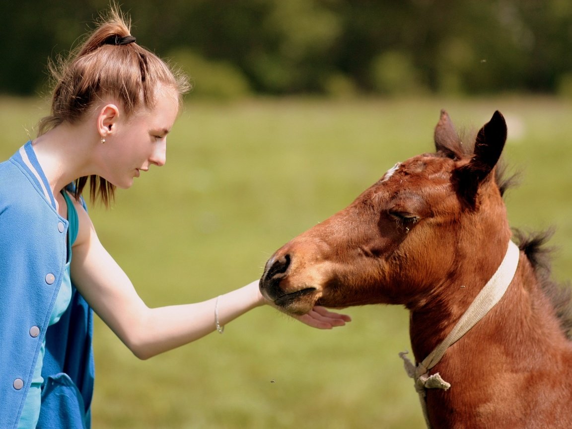 Обои лошадь, природа, девушка, настроение, конь, дружба, жеребенок, контакт, horse, nature, girl, mood, friendship, foal, contact разрешение 3088x2056 Загрузить