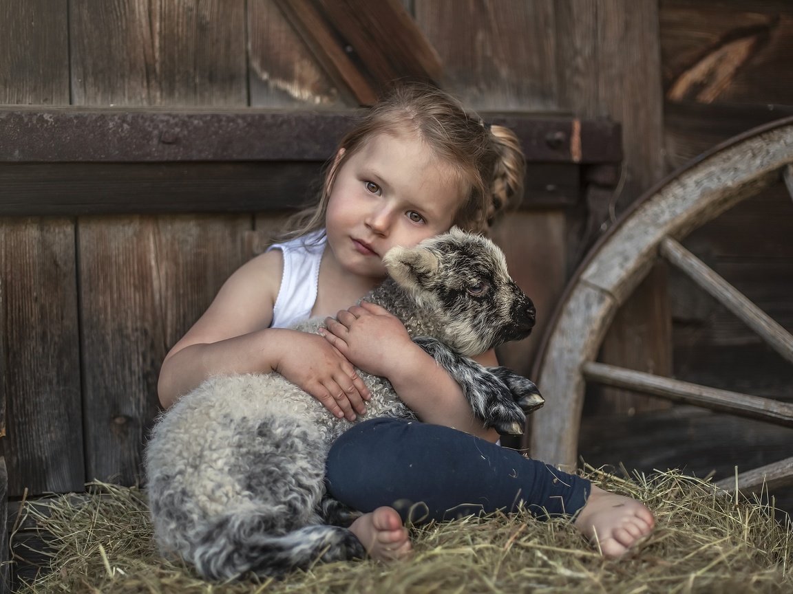 Обои сено, взгляд, дети, девочка, нежность, овечка, овца, hay, look, children, girl, tenderness, sheep разрешение 2560x1707 Загрузить