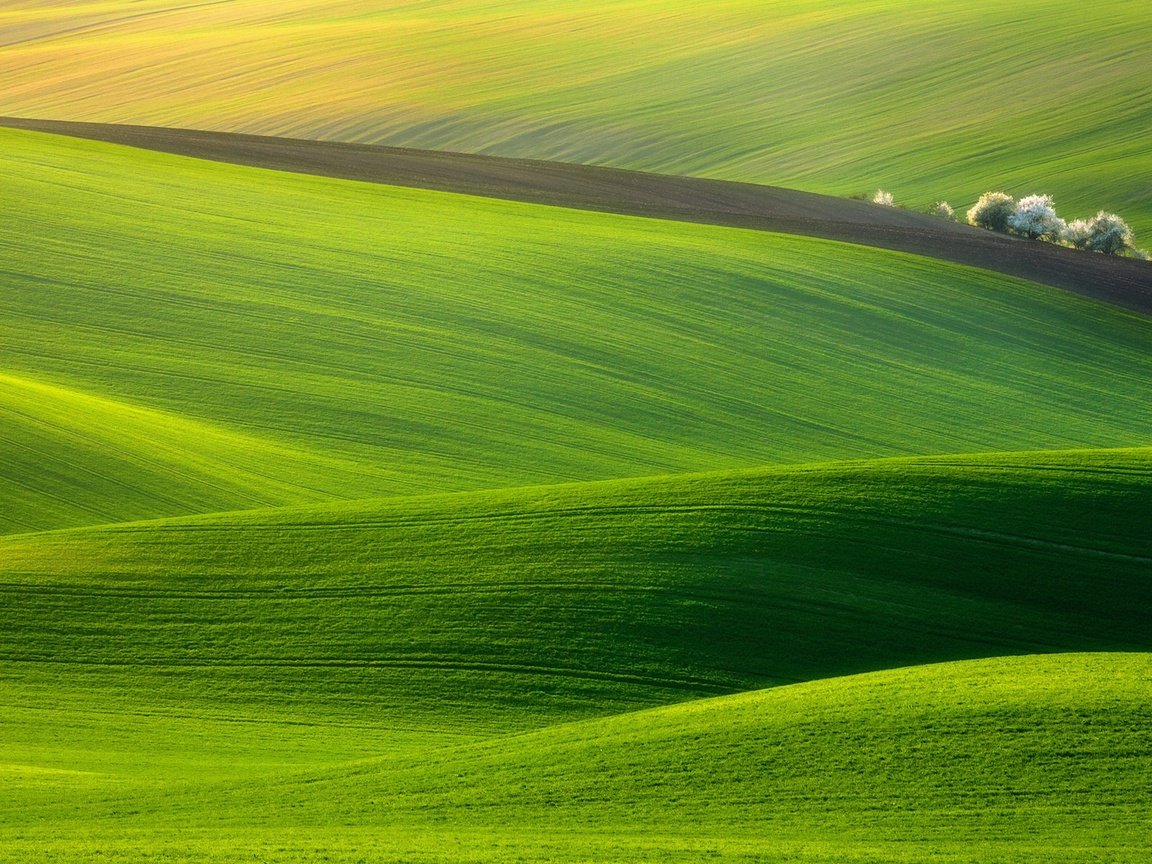 Обои трава, холмы, природа, пейзаж, поля, поле, луг, чехия, grass, hills, nature, landscape, field, meadow, czech republic разрешение 1920x1200 Загрузить