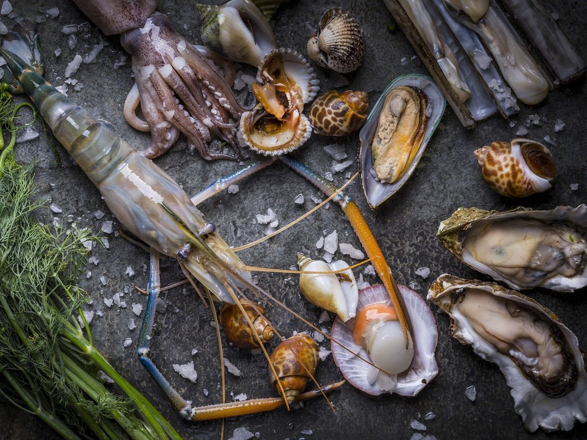 Обои кальмар, укроп, морепродукты, креветки, моллюски, устрицы, squid, dill, seafood, shrimp, shellfish, oysters разрешение 2048x1365 Загрузить