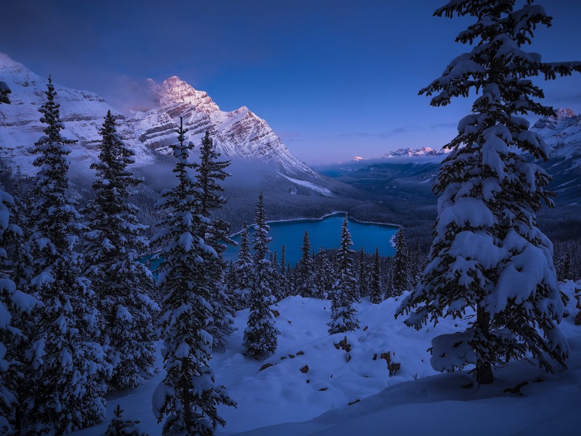 Обои озеро, горы, снег, лес, зима, канада, национальный парк банф, peyto lake, lake, mountains, snow, forest, winter, canada, banff national park разрешение 4000x2463 Загрузить