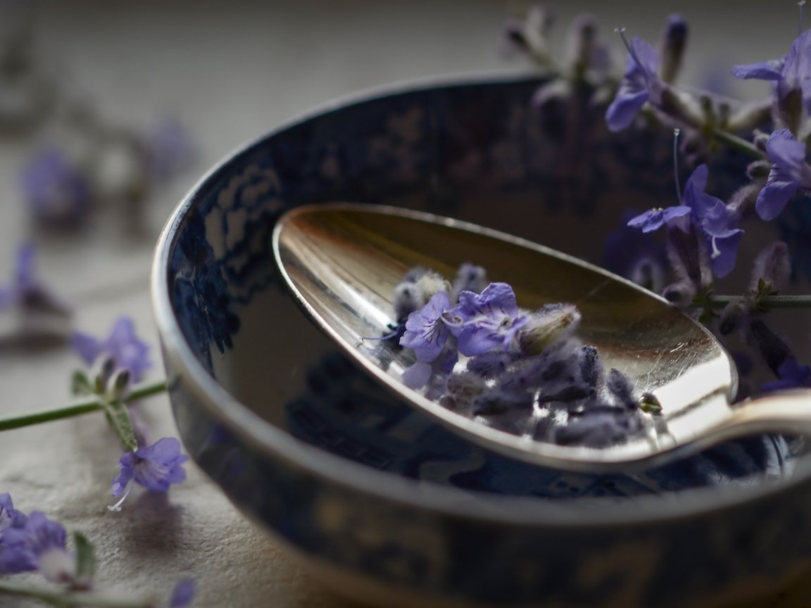 Обои цветы, макро, лаванда, ложка, flowers, macro, lavender, spoon разрешение 2560x1707 Загрузить