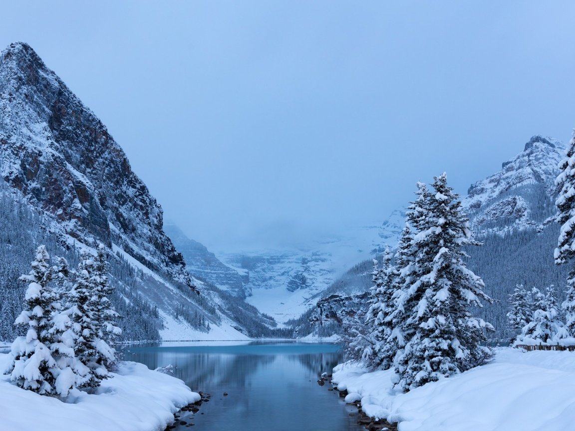 Обои деревья, lake louisebanff, озеро, горы, снег, лес, зима, канада, национальный парк, trees, lake, mountains, snow, forest, winter, canada, national park разрешение 1920x1200 Загрузить