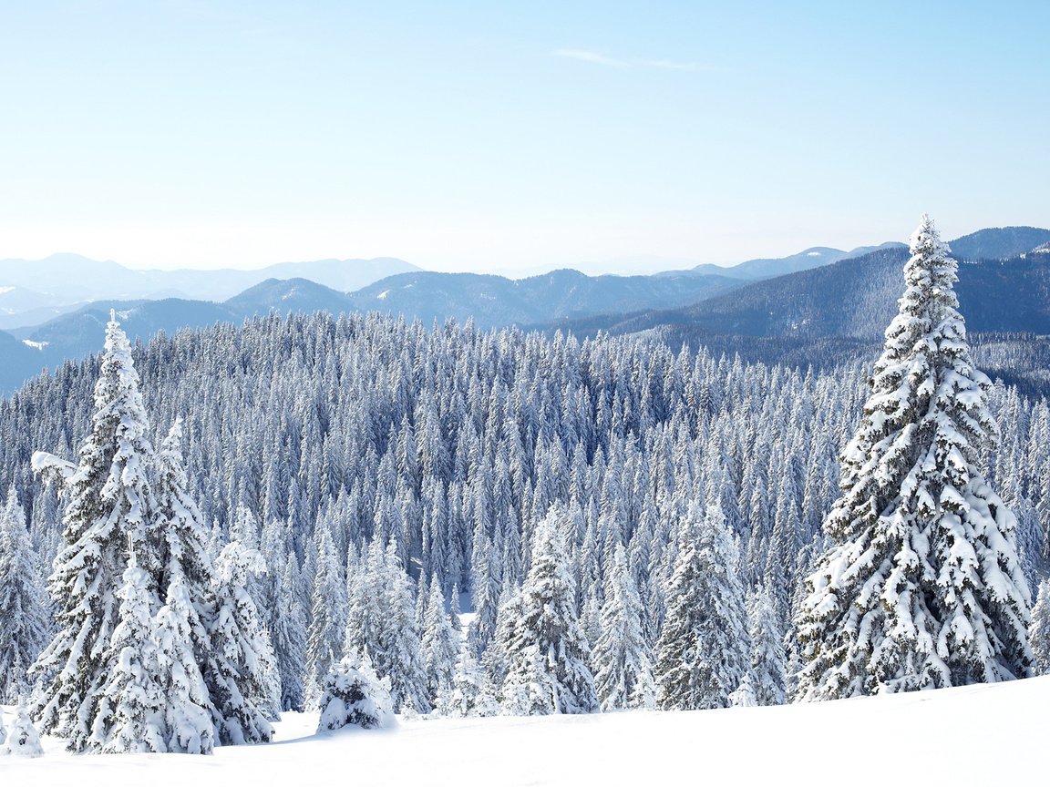 Обои горы, природа, лес, зима, пейзаж, katerina myan, mountains, nature, forest, winter, landscape разрешение 1920x1200 Загрузить