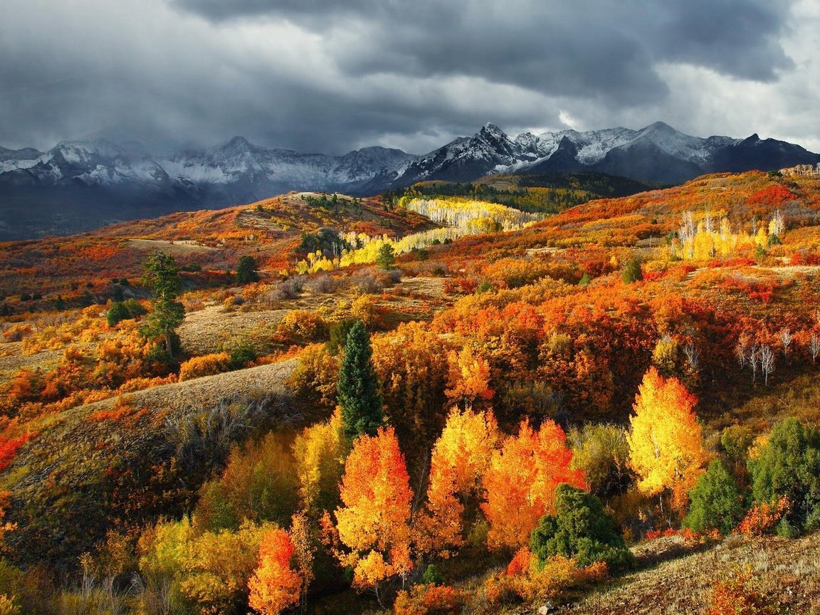 Обои деревья, горы, лес, листья, осень, сша, колорадо, trees, mountains, forest, leaves, autumn, usa, colorado разрешение 1920x1200 Загрузить