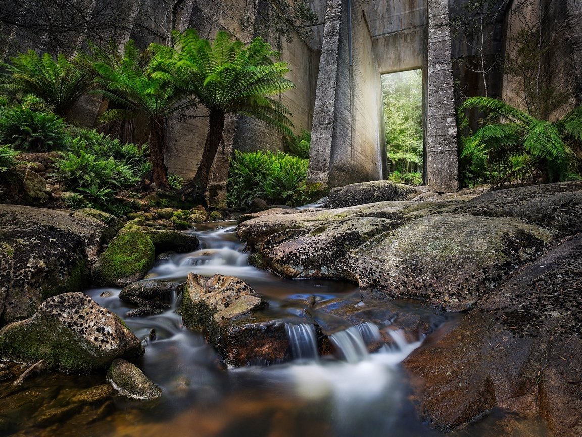 Обои вода, листья, водопад, осень, поток, пальмы, water, leaves, waterfall, autumn, stream, palm trees разрешение 2048x1365 Загрузить