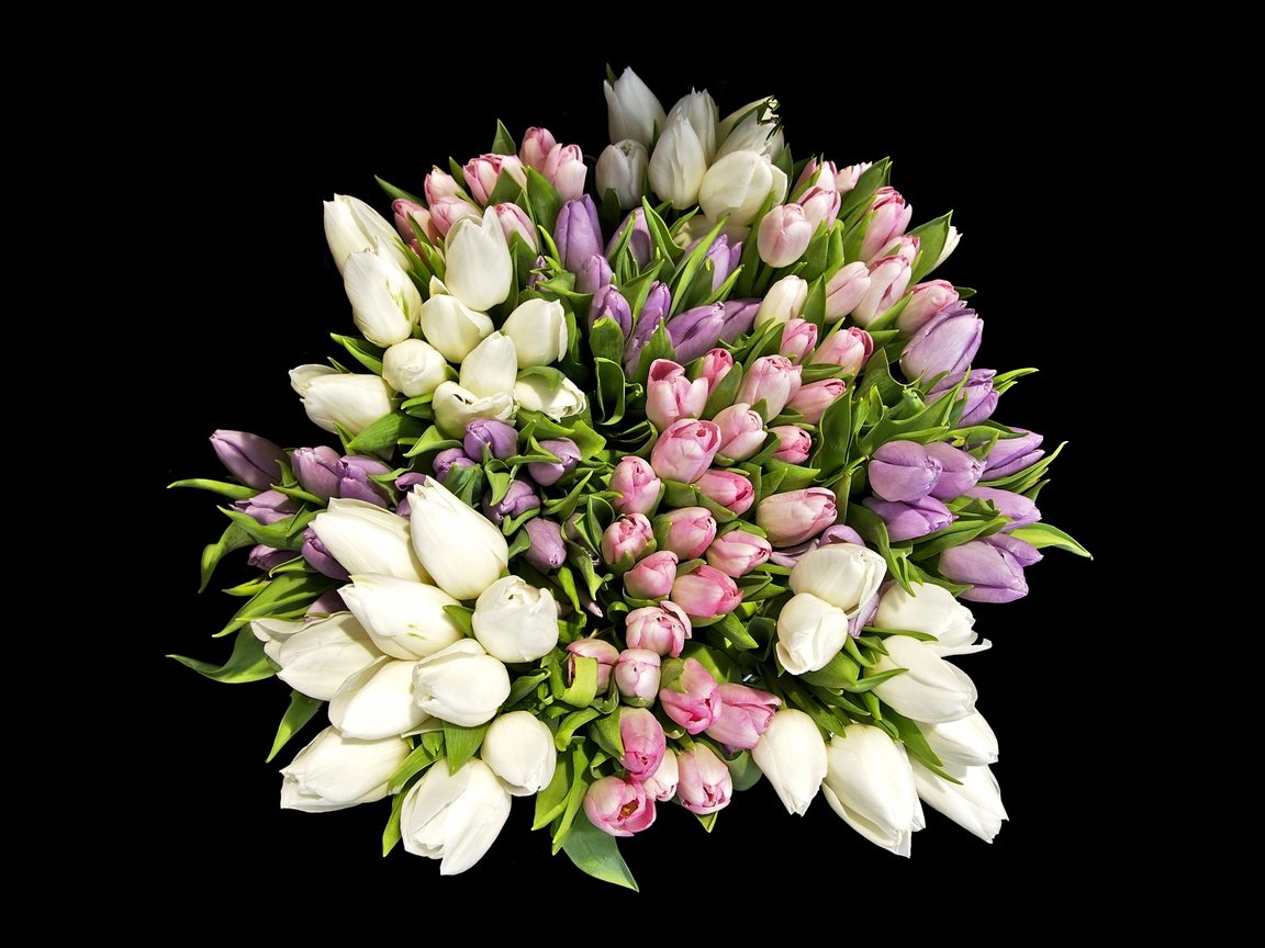 Обои цветы, черный фон, букет, тюльпаны, flowers, black background, bouquet, tulips разрешение 3000x2260 Загрузить