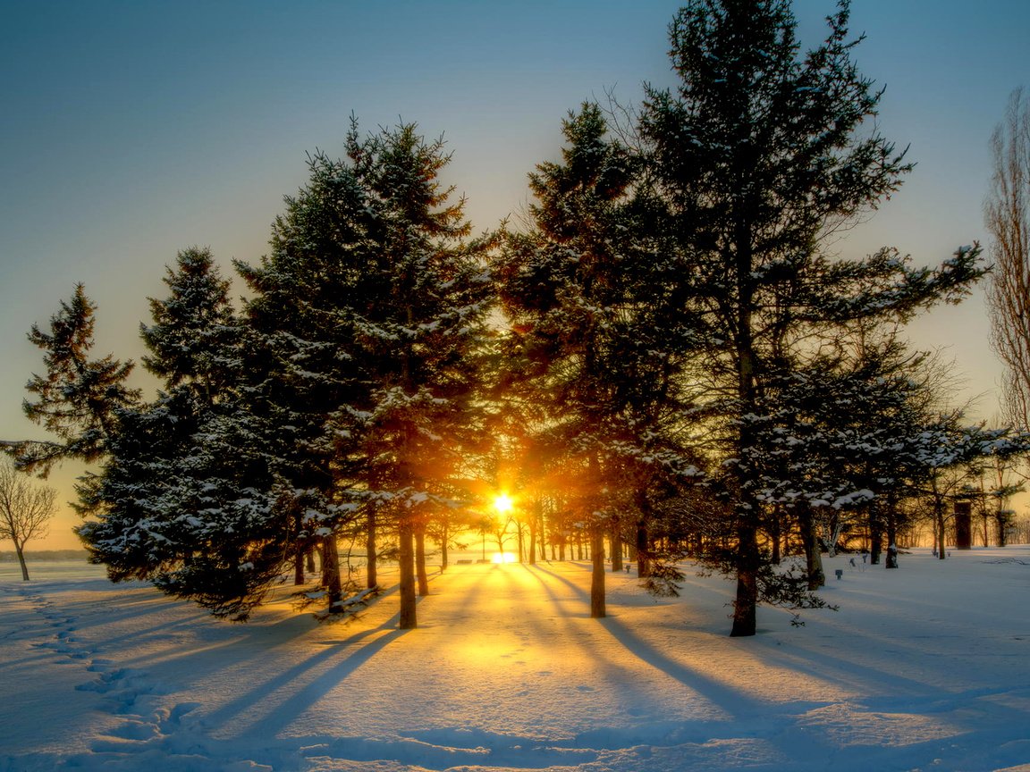 Обои солнце, снег, природа, лес, зима, рассвет, канада, viktor elizarov, the sun, snow, nature, forest, winter, dawn, canada разрешение 1920x1200 Загрузить